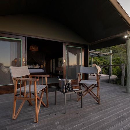 HillsNek Safari Camp – Amakhala Game Reserve Bagian luar foto