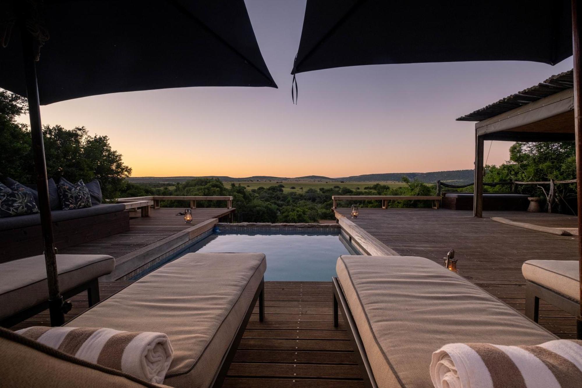 HillsNek Safari Camp – Amakhala Game Reserve Bagian luar foto