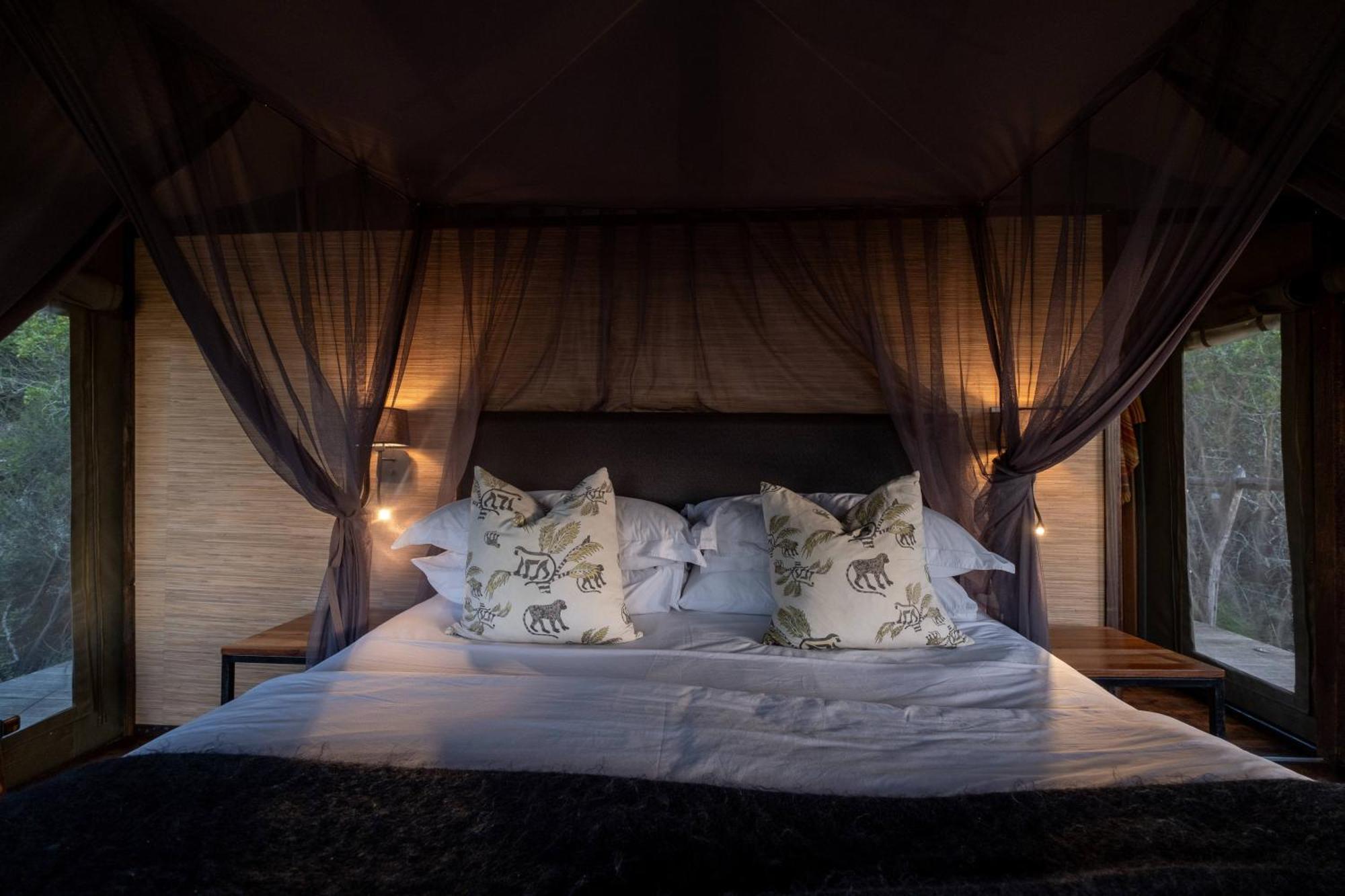 HillsNek Safari Camp – Amakhala Game Reserve Bagian luar foto