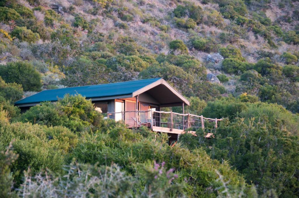 HillsNek Safari Camp – Amakhala Game Reserve Villa Ruang foto