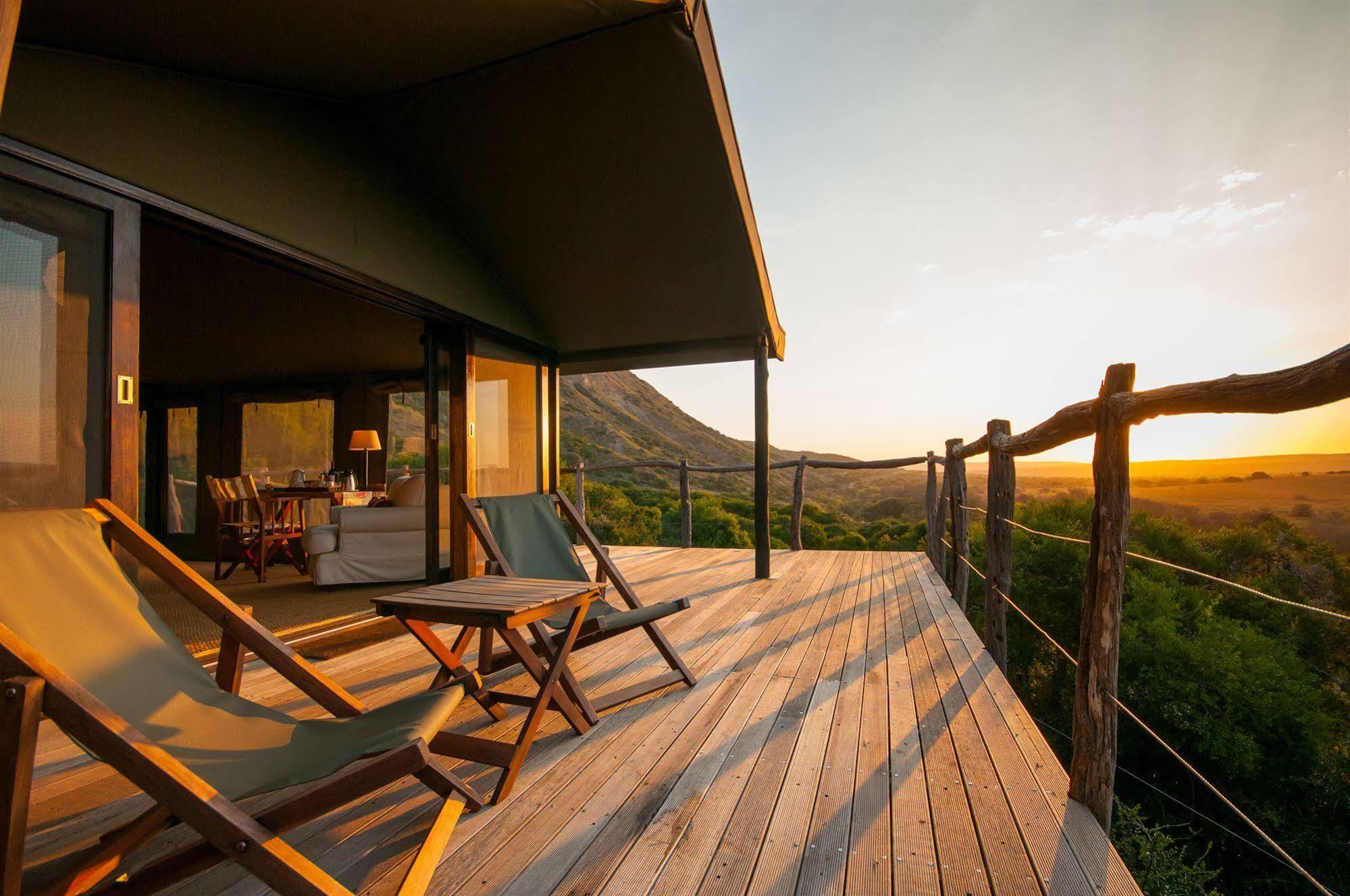 HillsNek Safari Camp – Amakhala Game Reserve Bagian luar foto