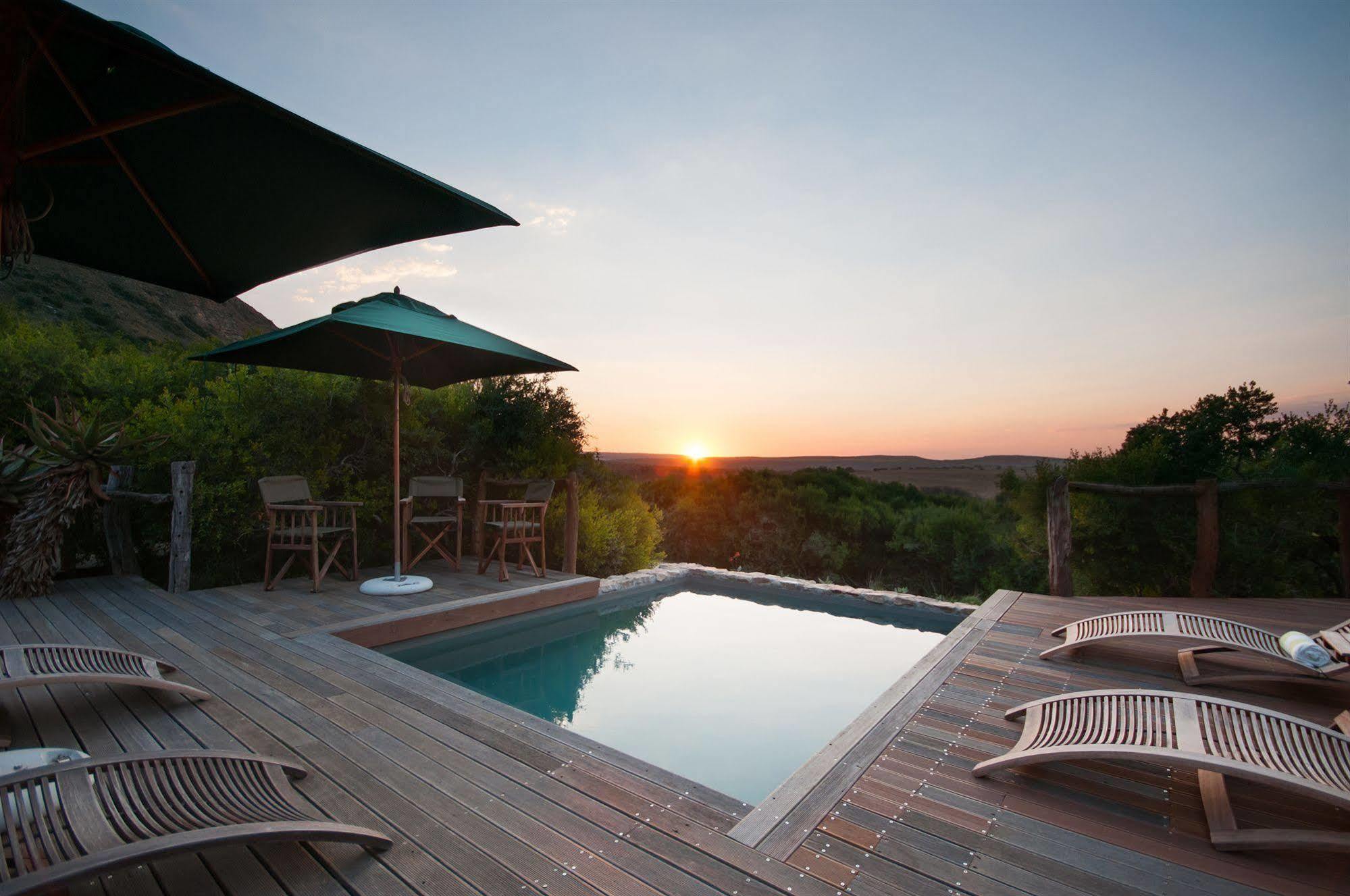 HillsNek Safari Camp – Amakhala Game Reserve Villa Bagian luar foto