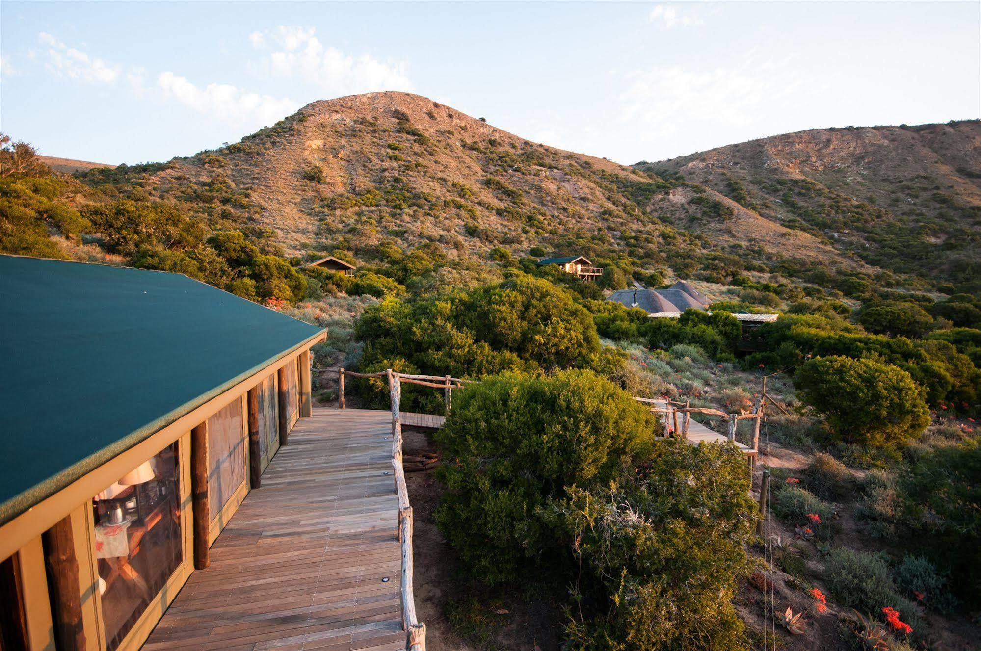 HillsNek Safari Camp – Amakhala Game Reserve Villa Bagian luar foto