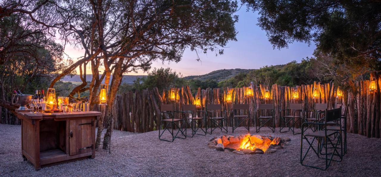 HillsNek Safari Camp – Amakhala Game Reserve Bagian luar foto