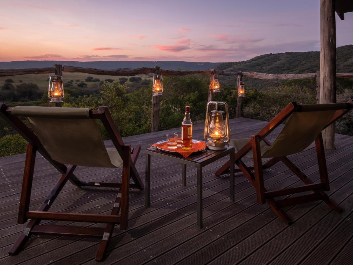 HillsNek Safari Camp – Amakhala Game Reserve Bagian luar foto