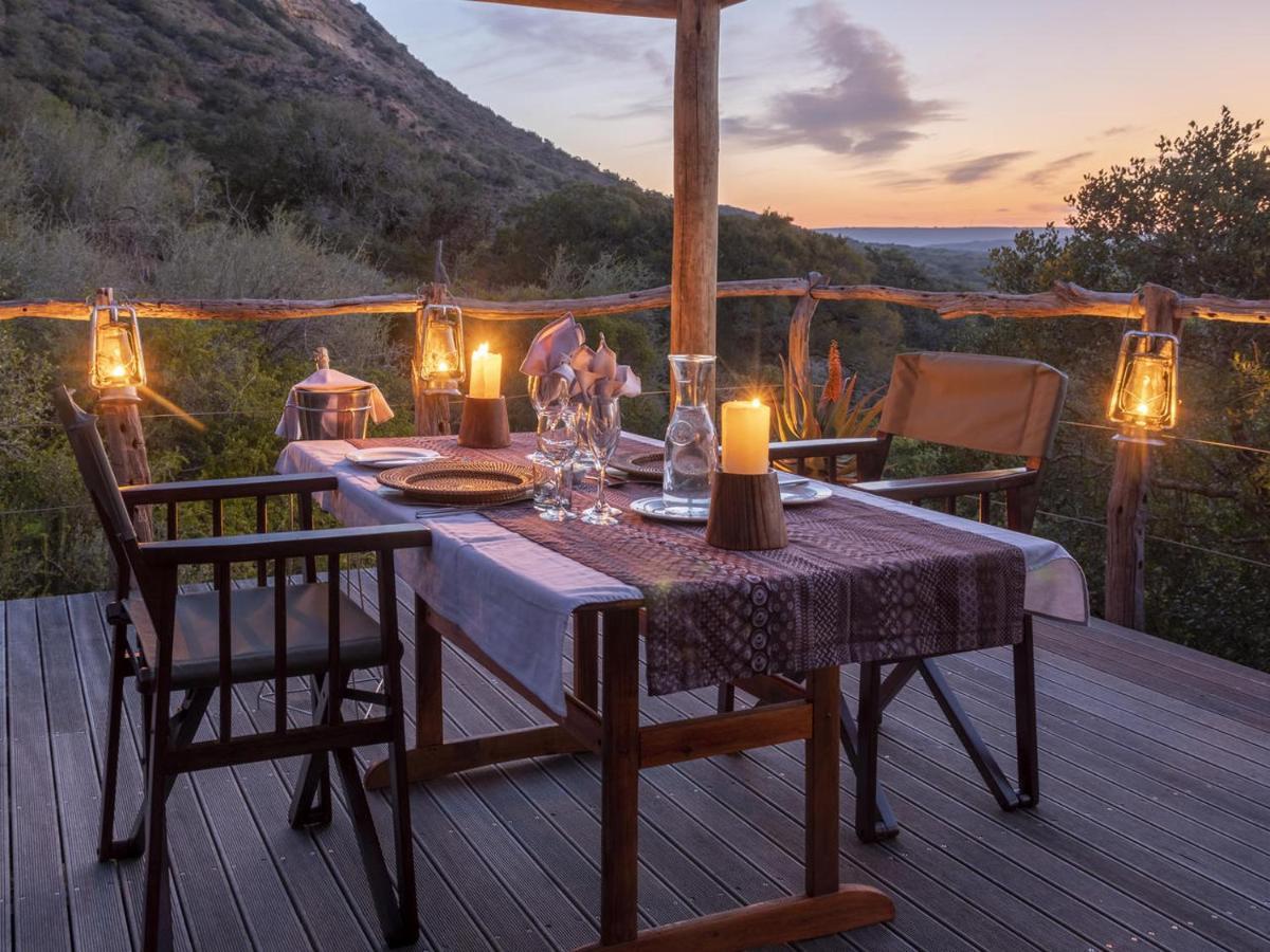 HillsNek Safari Camp – Amakhala Game Reserve Bagian luar foto