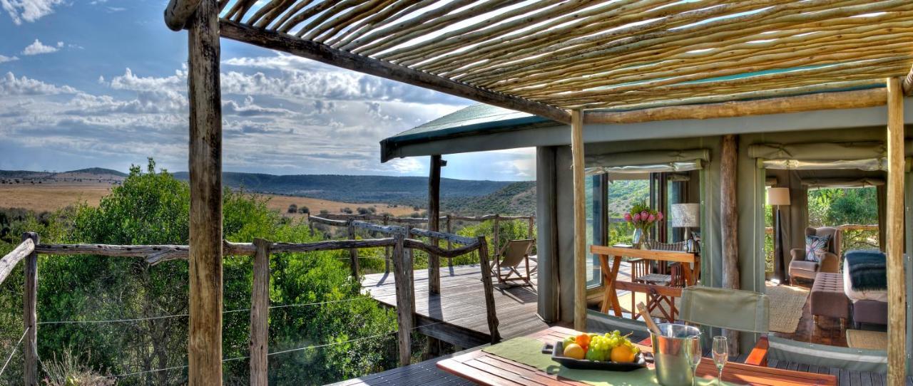 HillsNek Safari Camp – Amakhala Game Reserve Bagian luar foto